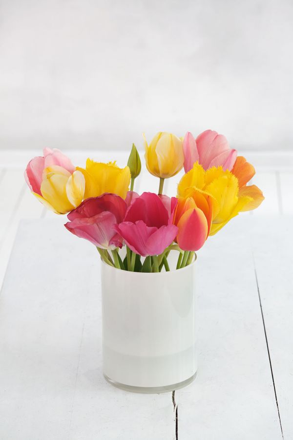 Stillleben mit bunten Tulpen