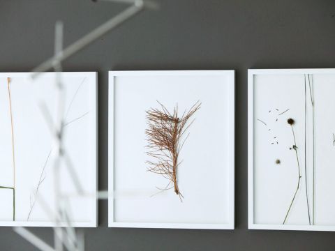 Sträucher auf weißem Untergrund, Ausstellungsbilder "Atelier-Nacht"