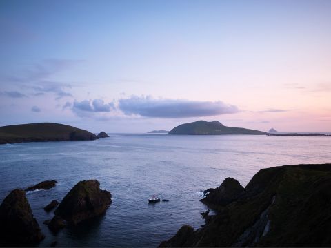 Detail Waldlandschaft „Vor der Tür“